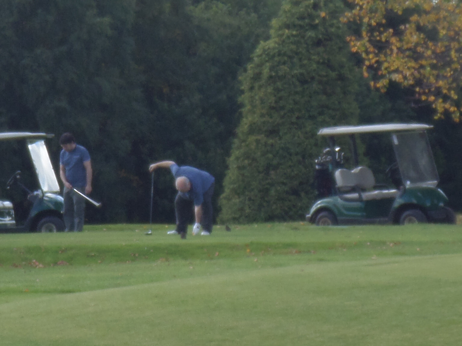 P.H. tees up