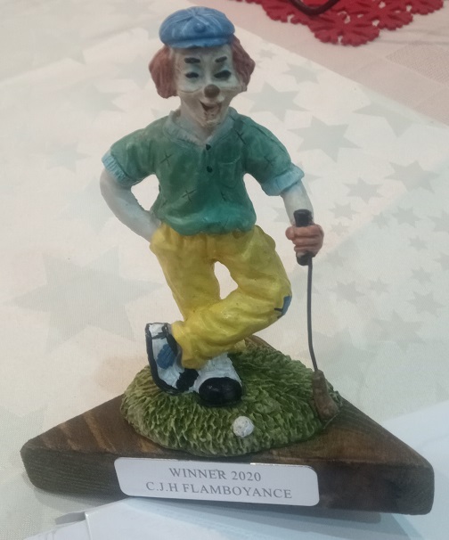 The 2020 flamboyance trophy