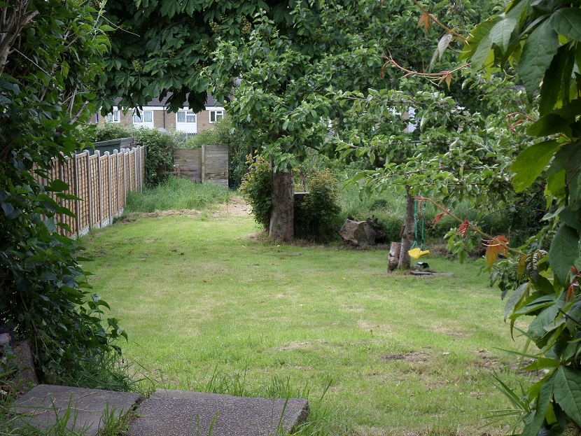 Chris' old back garden and den